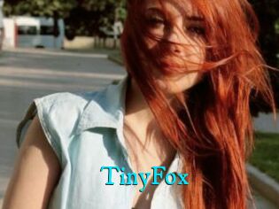TinyFox