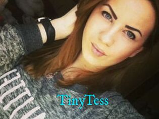 TinyTess