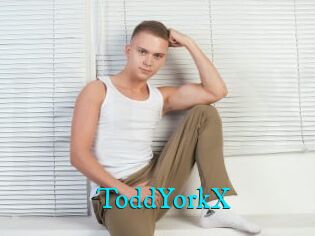 ToddYorkX