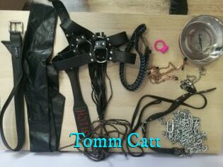 Tomm_Catt