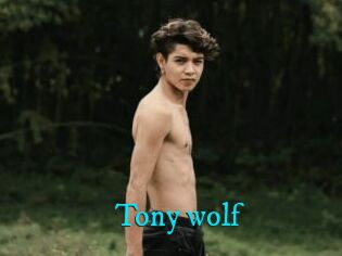 Tony_wolf