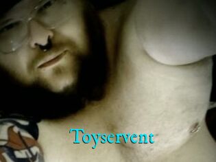 Toyservent