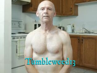 Tumbleweed13