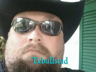 Txbullstud