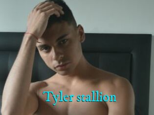 Tyler_stallion