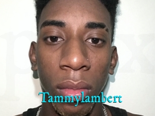 Tammylambert