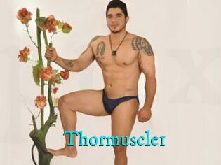 Thormuscle1