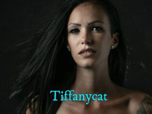 Tiffanycat