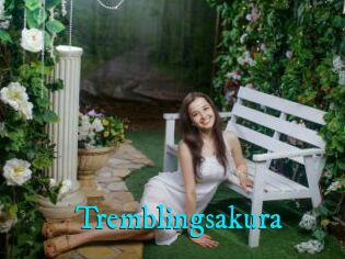 Tremblingsakura