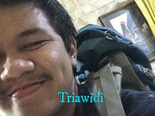 Triawidi