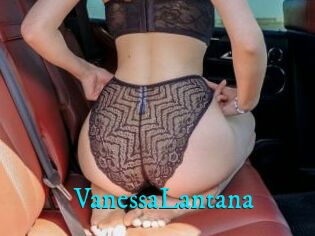 VanessaLantana
