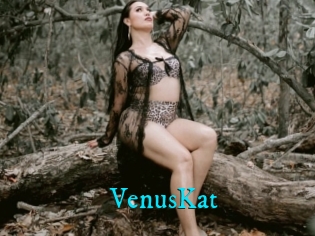 VenusKat