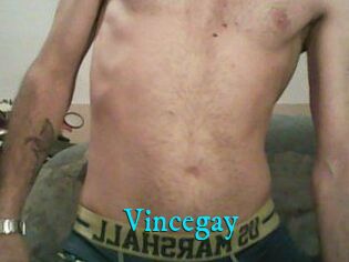 Vincegay