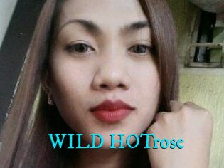 WILD_HOTrose