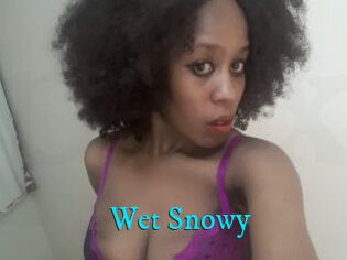 Wet_Snowy