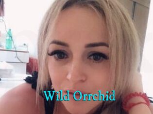 Wild_Orrchid