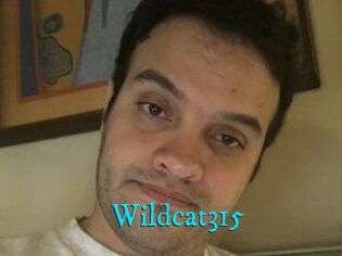 Wildcat315