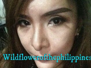Wildflowerofthephilippines