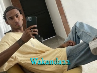 Wakanda22