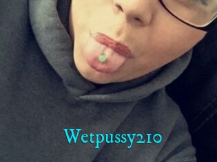 Wetpussy210