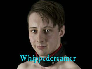 Whippedcreamer