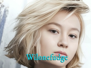 Wilonefudge