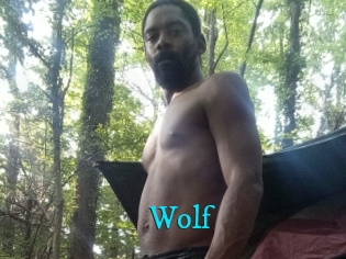 Wolf