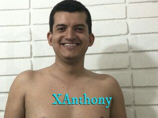 XAnthony
