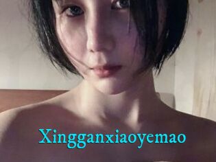 Xingganxiaoyemao