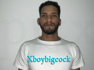 Xboybigcock