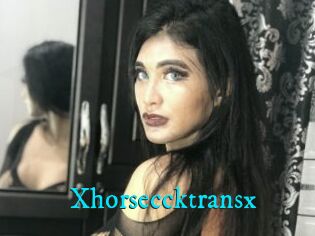 Xhorseccktransx