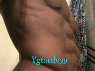 Ygturtle99