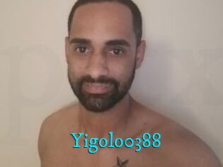 Yigolo0388