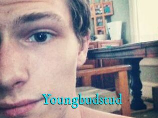 Youngbudstud