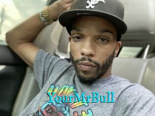 YourMrBull
