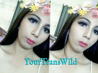 YourTransWild