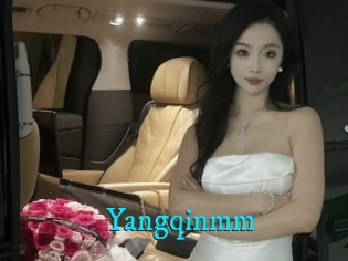 Yangqinmm
