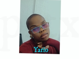 Yario