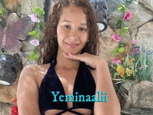 Yeminaalii