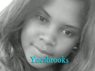 Ynesbrooks