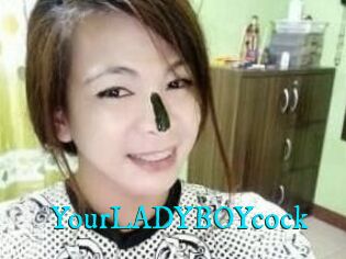 YourLADYBOYcock