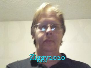 Ziggy2020