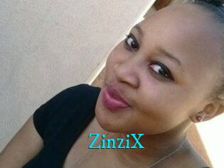 ZinziX
